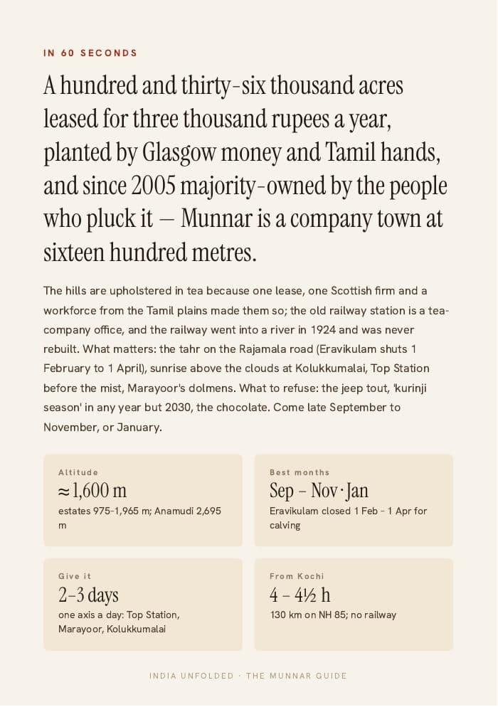 In 60 seconds — the whole city on one page — a page from The Munnar Guide
