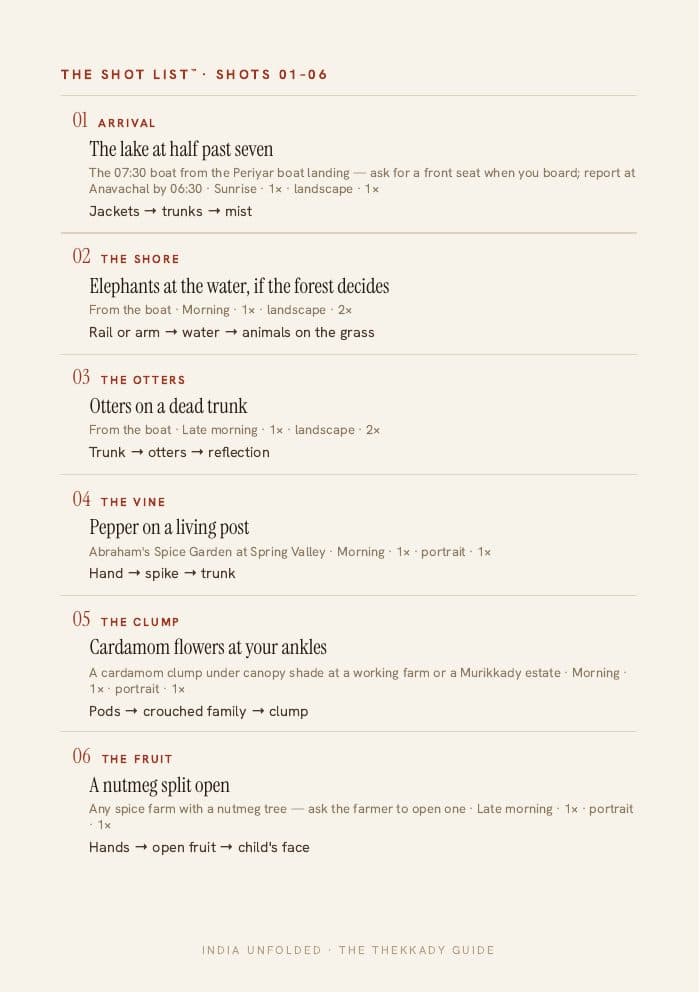 The Shot List™ — twelve frames — a page from The Thekkady Guide