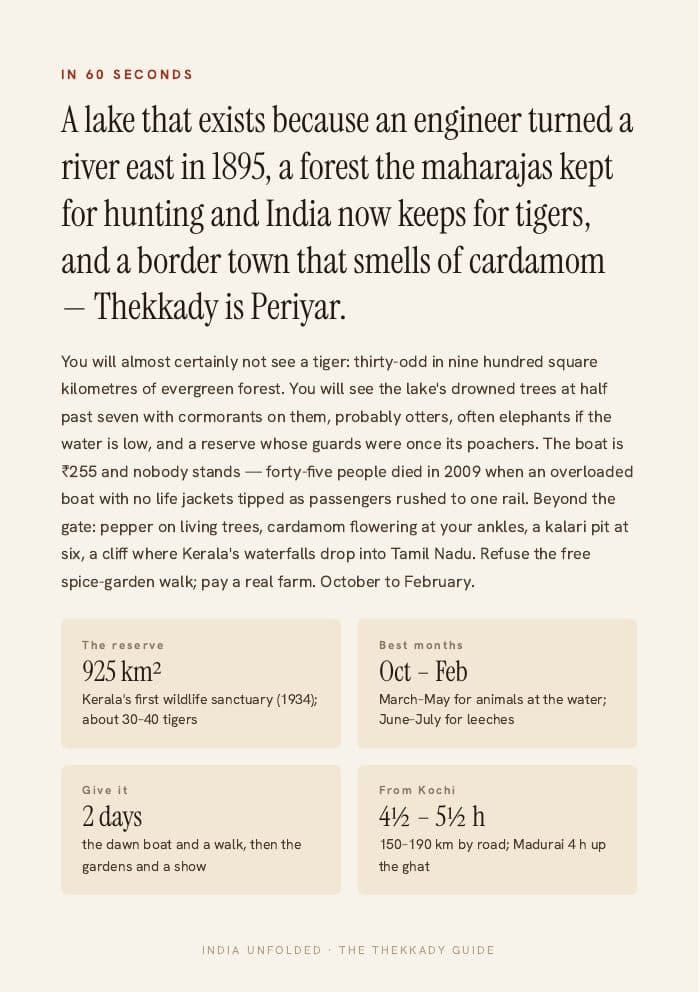 In 60 seconds — the whole city on one page — a page from The Thekkady Guide